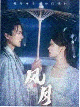 树影迷宫 悬疑电视剧